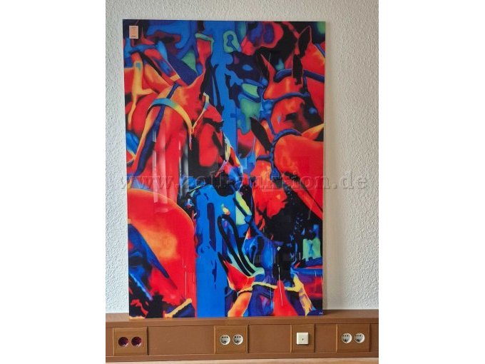 1 Bild auf Plexiglas "Poloponies" von Wiebke Albrecht – kavel bij Zoll-Auktion, Hagen