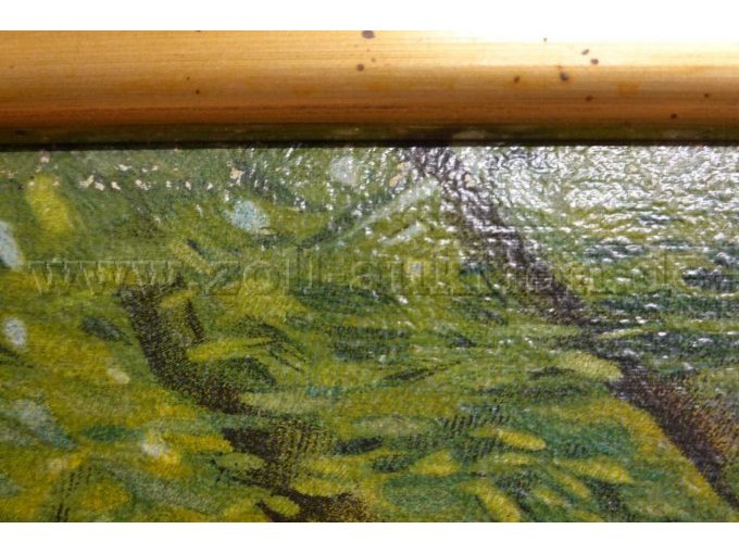 Detailansicht Bild mit leichten Schäden