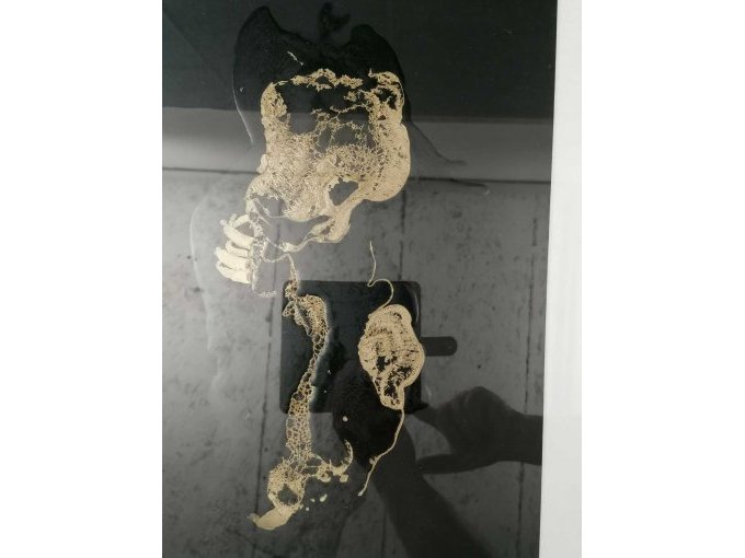Nahansicht Bild "schwarzes Gold"