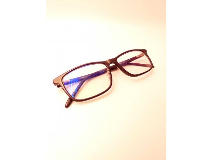 Herrenbrille Porsche Design_ zusammengeklappt