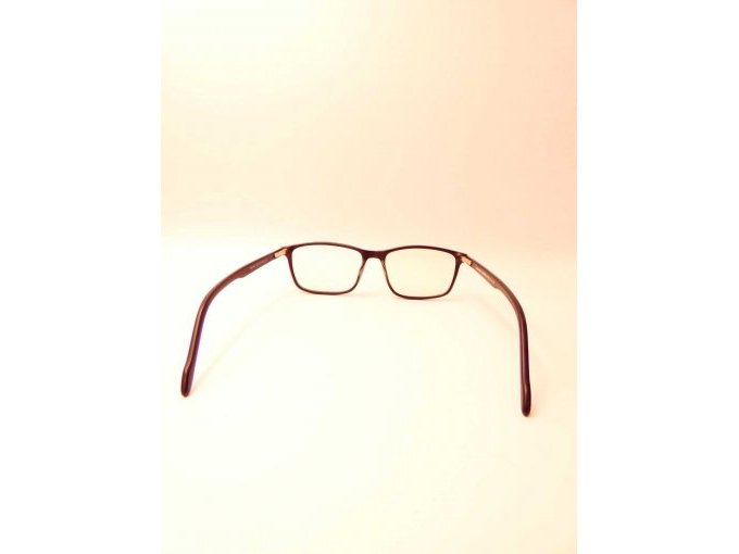 Herrenbrille Porsche Design_ Ansicht von hinten auf die Gläser
