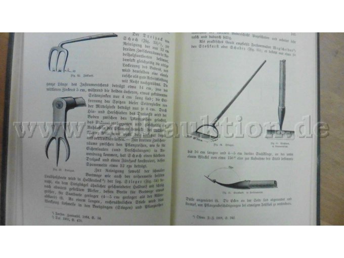 Die Pflanzenzucht im Saatbeet