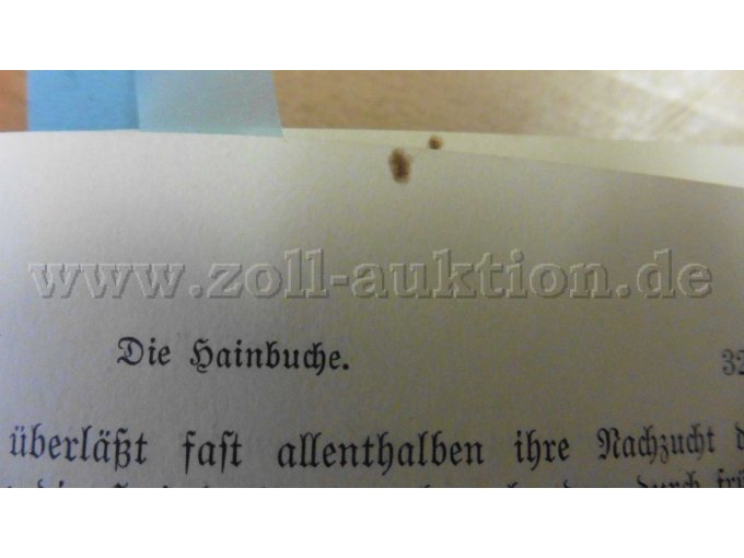 Seite 319 bis 324 kleine Flecken