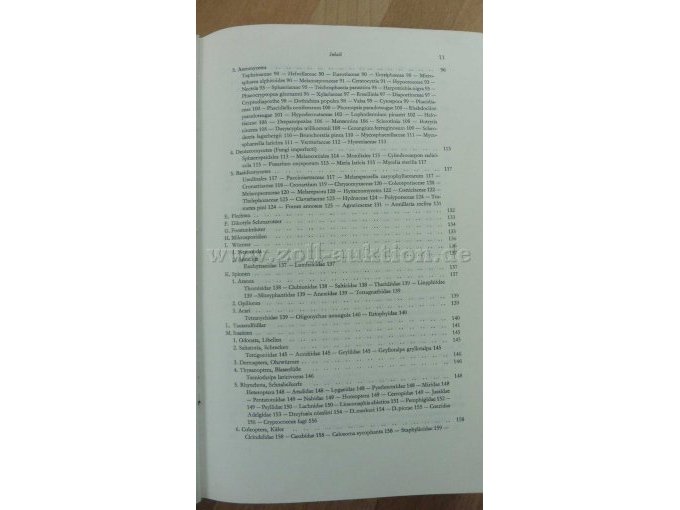 Auszug Inhaltsverzeichnis