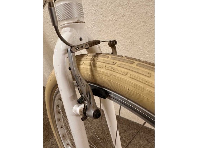 Fahrrad Bulls Sturmvogel Detailansicht Vorderbremse