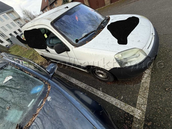 Seitenansicht Beifahrerseite