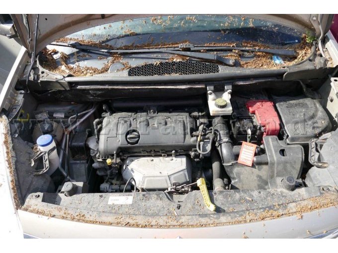 Motor