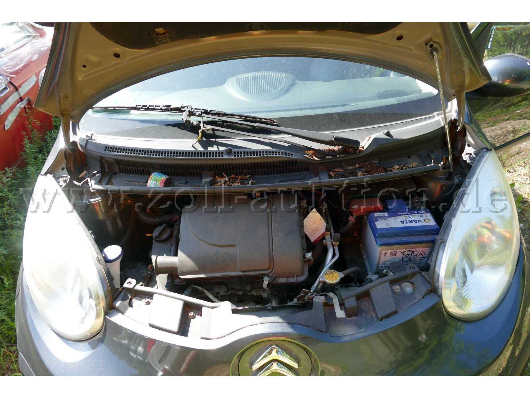 Motor