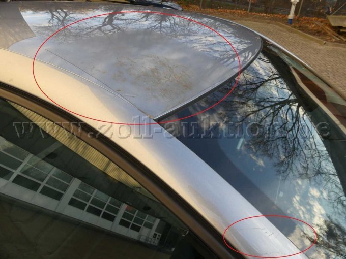 Beispiel-Schaden Dach und A-Säule