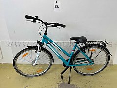Citybike von Pegasus, links
