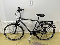 Citybike von Pegasus, links