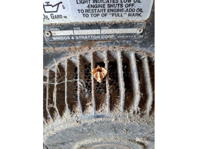 Ansicht Motor mit Typenschild