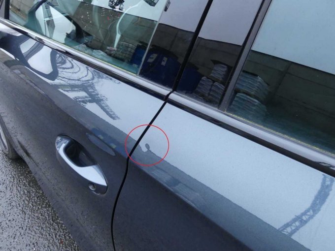 Delle Tür hinten links