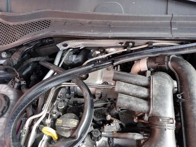 Marderschaden Motorraum