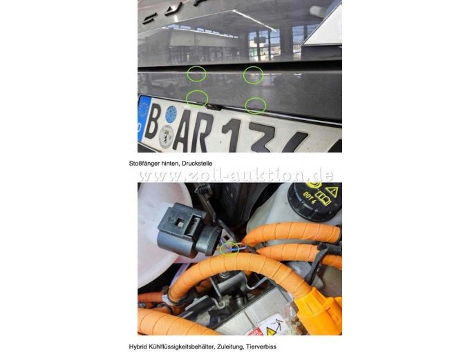 B-AR1366E
Stoßfänger hinten, Druckstelle
Hybrid Kühlflüssigkeitsbehälter, Zuleitung, Tierverbiss