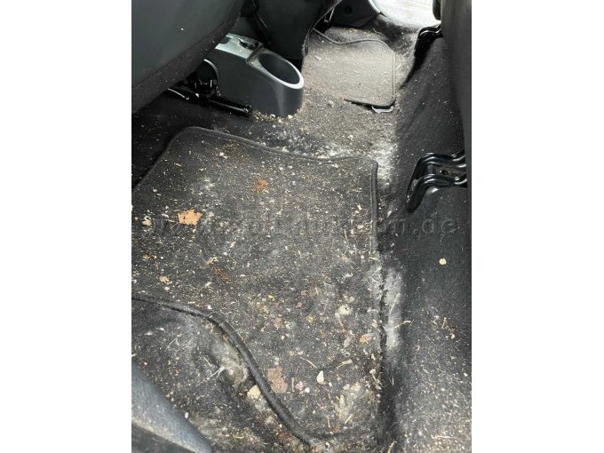 Verschmutzung Interieur 3