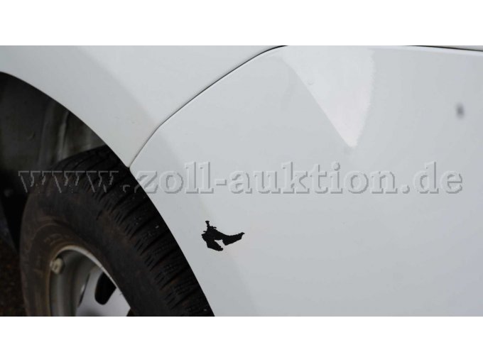 Lackschaden Kotflügen hinten links