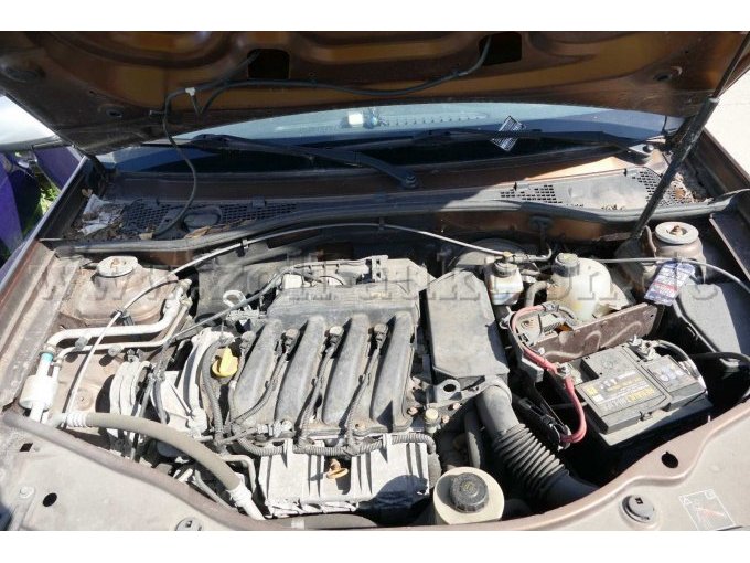 Motor