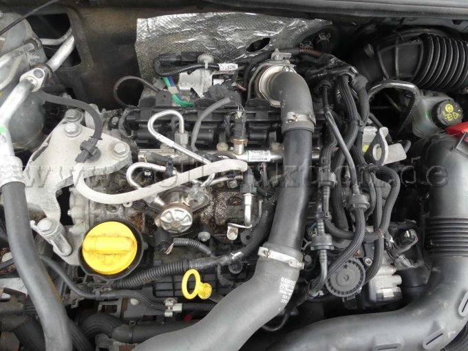 Motor