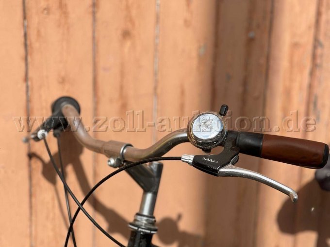 Ansicht Lenker