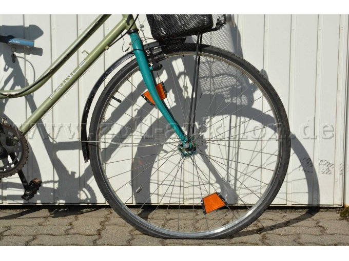 Vorderrad mit Schutzblech