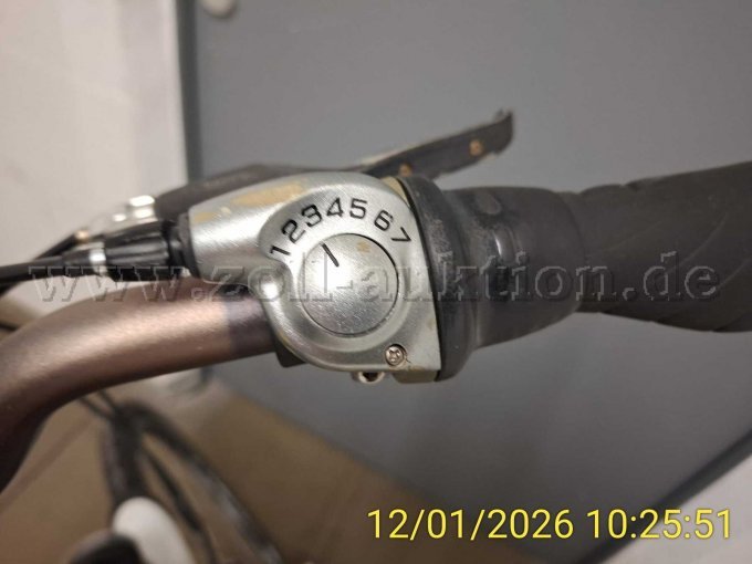 Lenker mit Gangschaltung