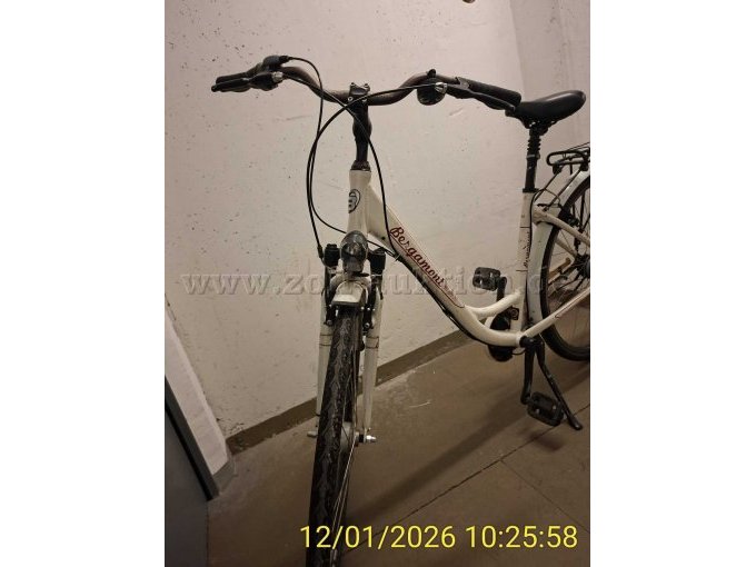 Lenker Ansicht vorne