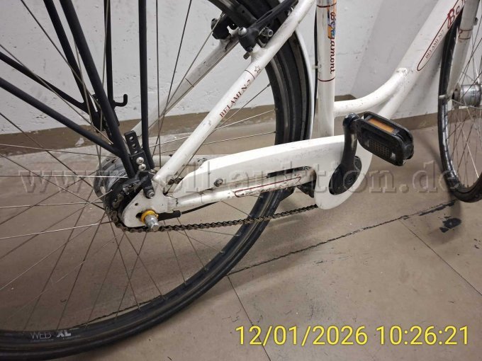 Schutzblech mit Pedale und Narbenschaltung