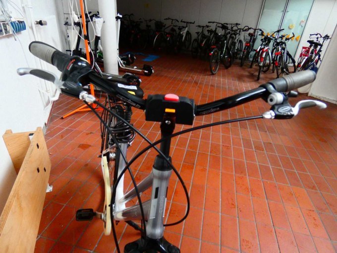 Damenrad Curtis_ Lenker von vorn