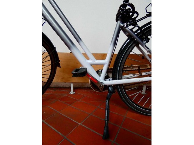 Damenrad Curtis_ Tretlager mit Pedalkurbel und Pedale