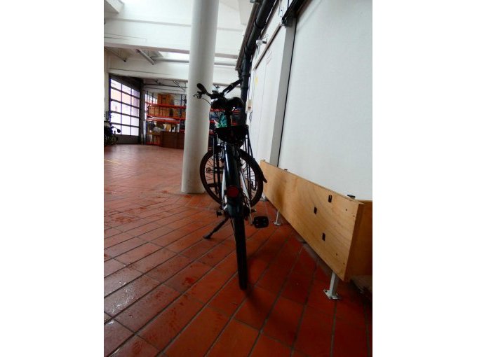 Damenrad Curtis_ hintere Ansicht