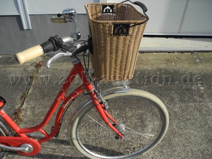 Ansicht Lenker und Korb