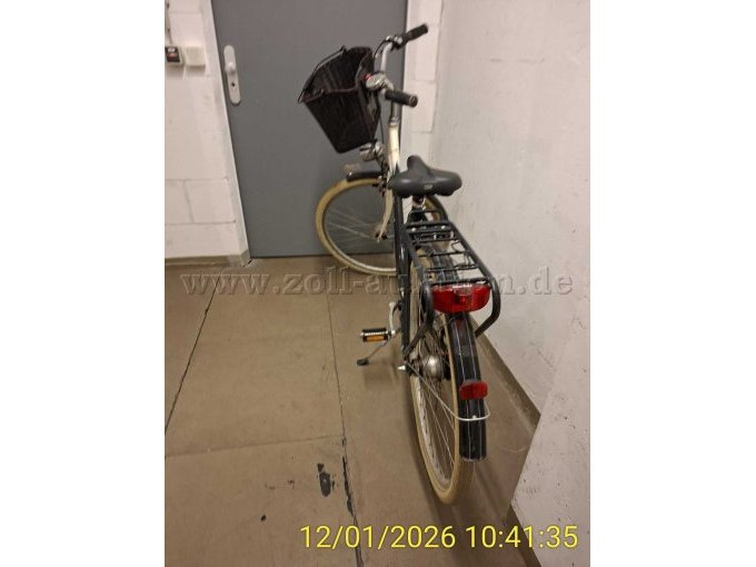 Damenrad Diamant Ansicht hinten