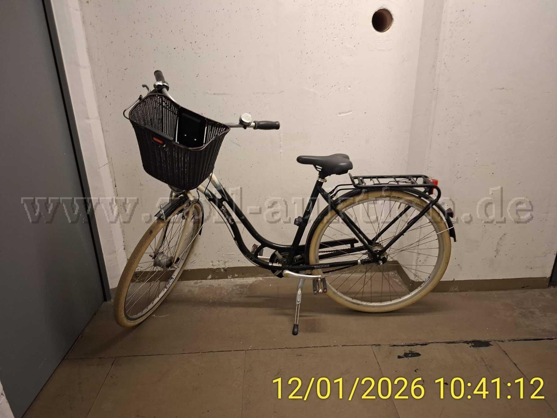 Damenrad Diamant Ansicht links