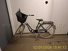 Damenrad Diamant Ansicht links