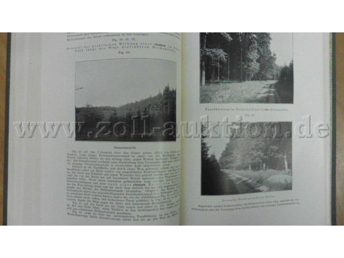 Beispielseite 246 / 247