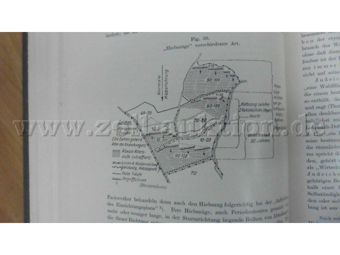 Figur 36 Hiebszüge