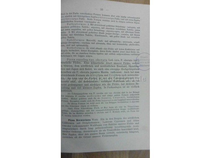 Seite 53 mit Stempel