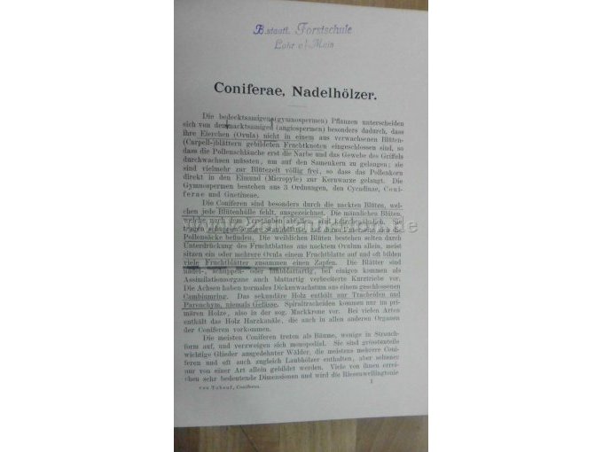 Seite 1 mit Stempel und Bleistiftunterstreichungen