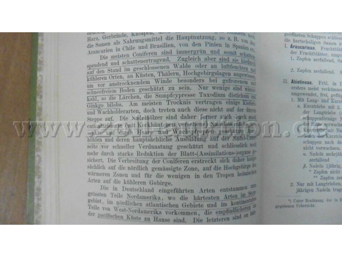 Bleistiftunterstreichungen