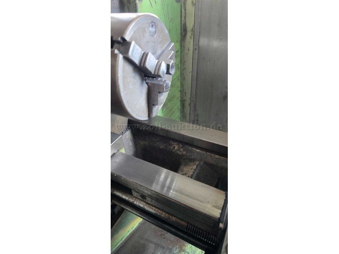 Weiler Primus Führung und Futter