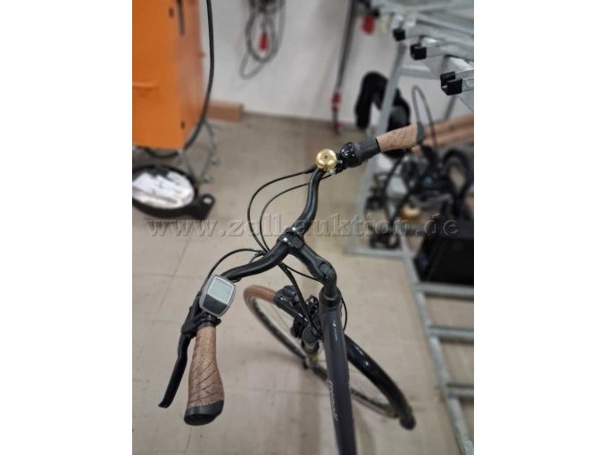 Trenoli Ansicht Lenker