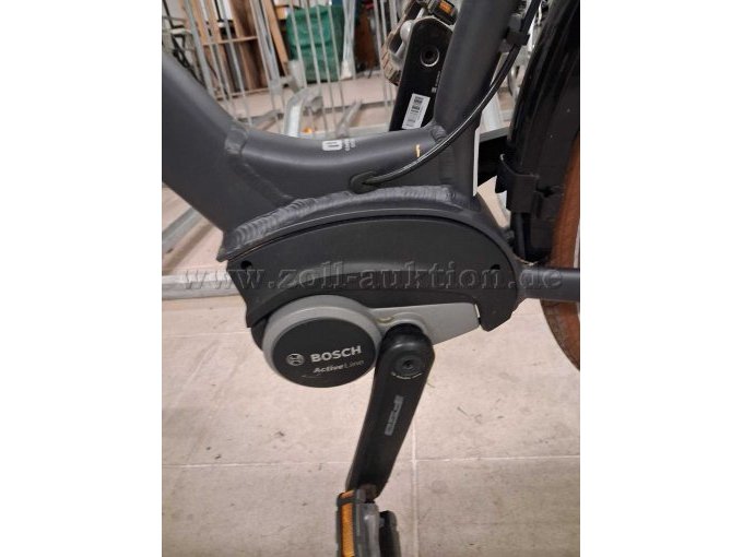 Trenoli Ansicht Bosch Mittelmotor