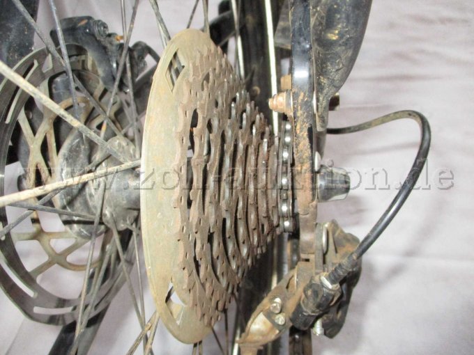 Teilansicht Hinterrad mit Zahnkränze