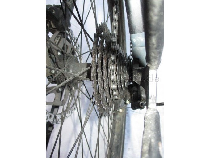 Teilansicht Hinterrad mit Zahnkränze