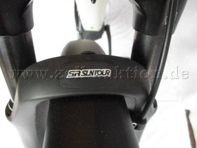 Teilansicht Federgabel