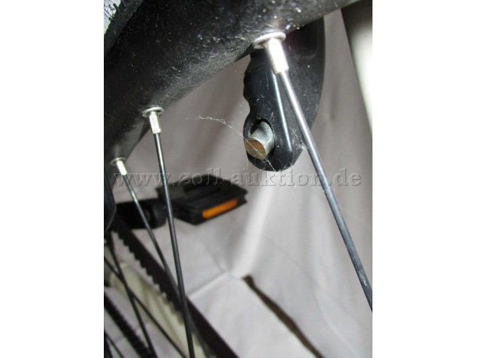 Ansicht durchtrenntes Ringschloss