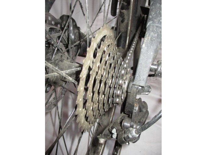 Teilansicht Hinterrad mit Zahnräder