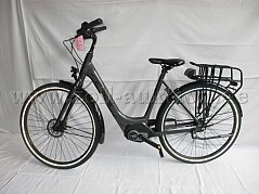 Vollansicht E-Bike Trek