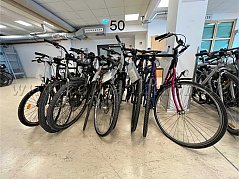 Übersicht Konvolut (von links nach rechts): Licorne, Fixie Inc., Senator, Rex, unbekannte Marke, Mars, bergamont, Serious, Pure Bros, Fischer